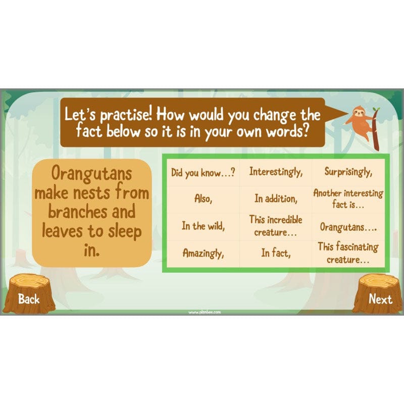 PlanBee Save the Orangutan KS2 Geography Planning Pack | PlanBee