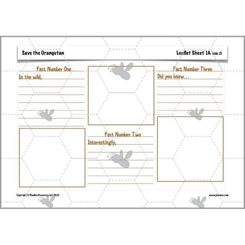PlanBee Save the Orangutan KS2 Geography Planning Pack | PlanBee