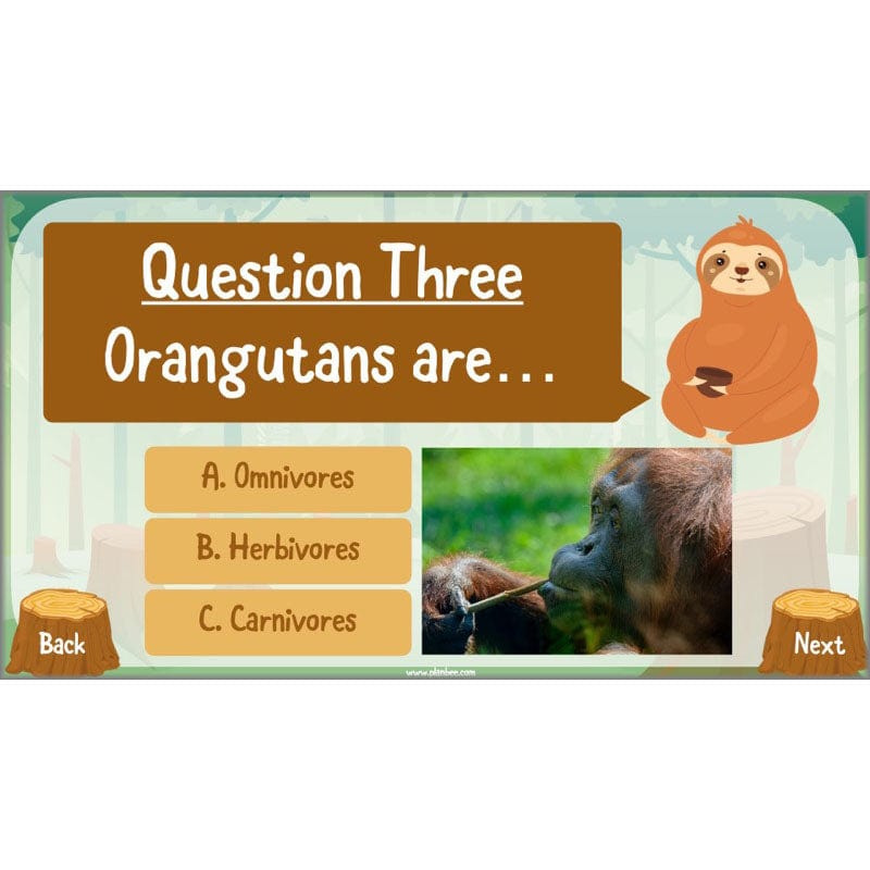 PlanBee Save the Orangutan KS2 Geography Planning Pack | PlanBee