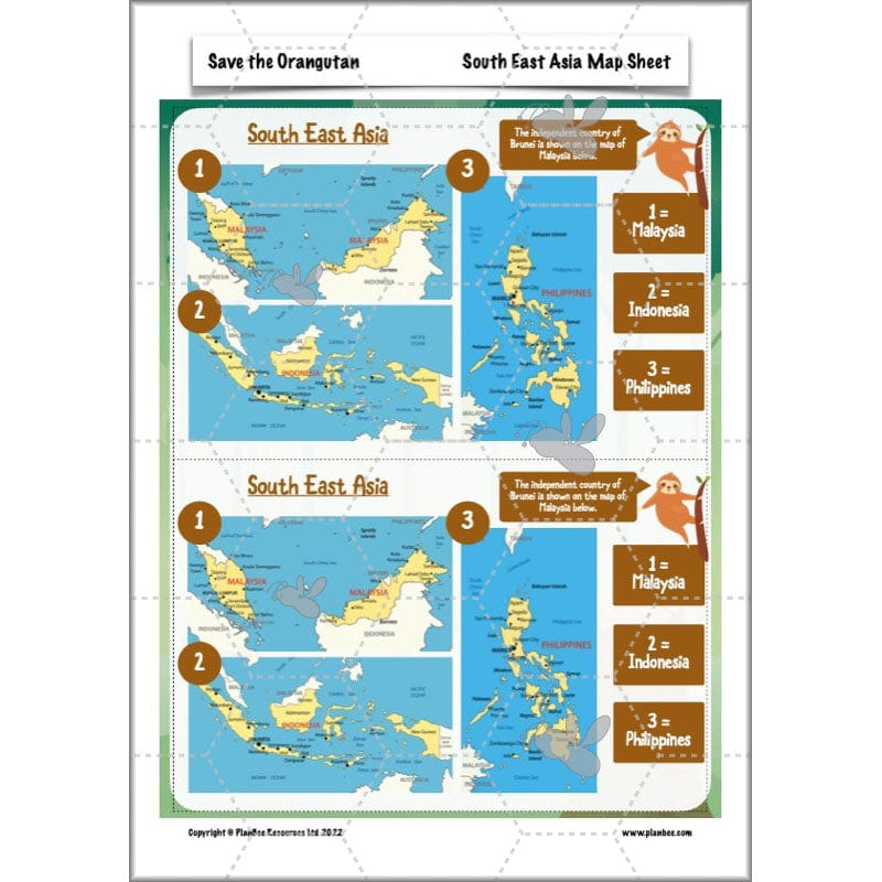 PlanBee Save the Orangutan KS2 Geography Planning Pack | PlanBee