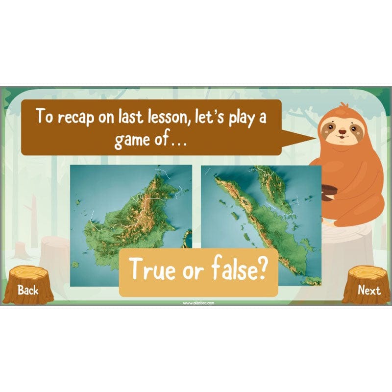 PlanBee Save the Orangutan KS2 Geography Planning Pack | PlanBee