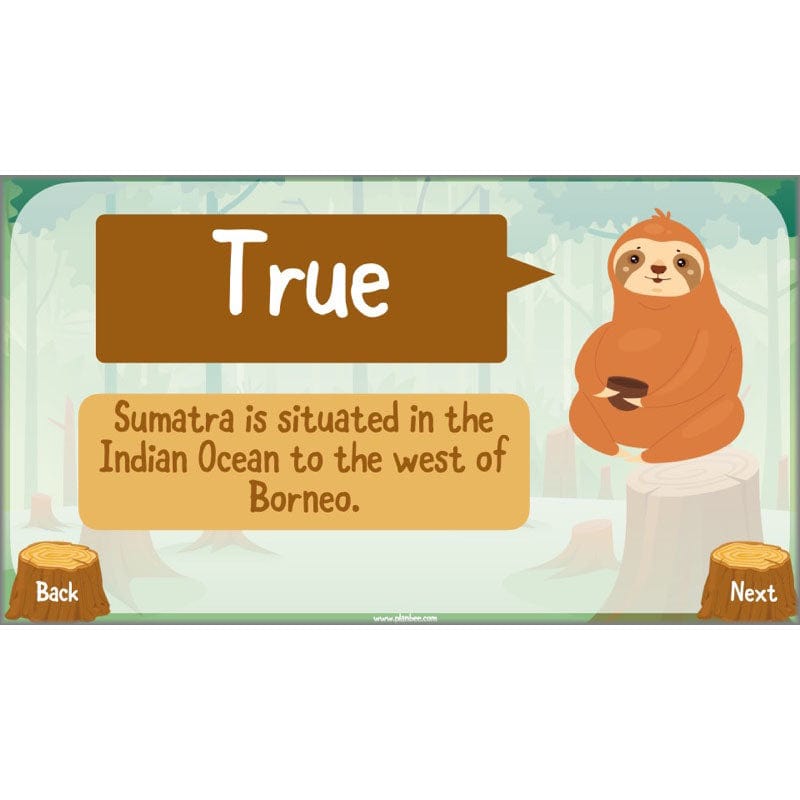 PlanBee Save the Orangutan KS2 Geography Planning Pack | PlanBee