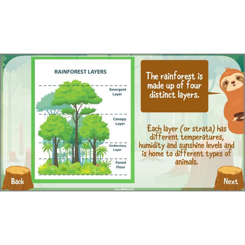 PlanBee Save the Orangutan KS2 Geography Planning Pack | PlanBee
