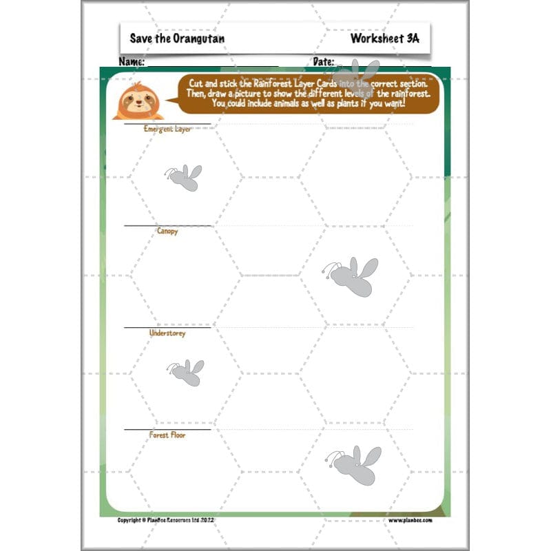 PlanBee Save the Orangutan KS2 Geography Planning Pack | PlanBee