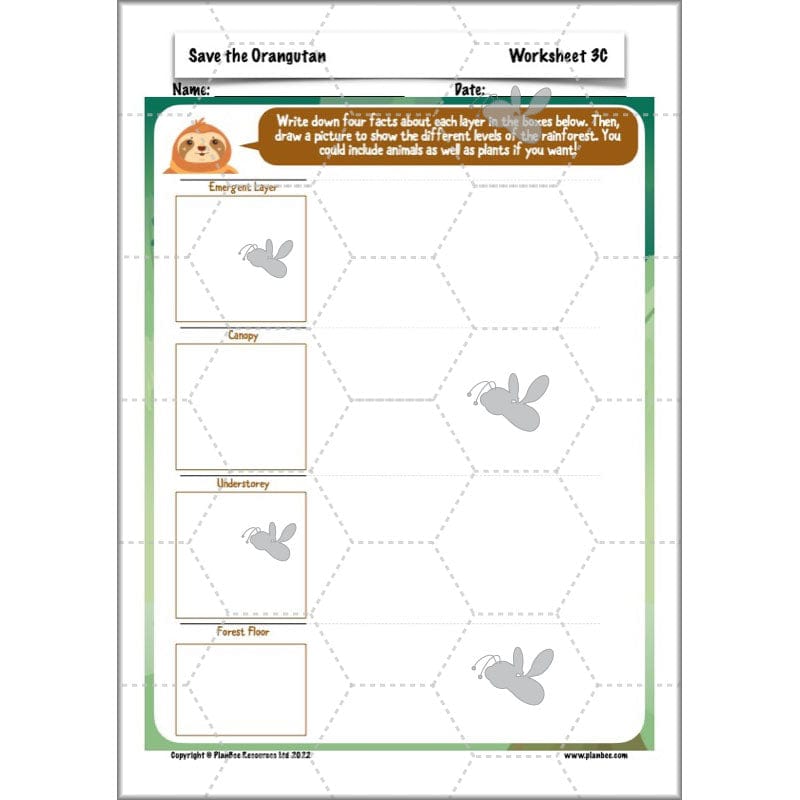 PlanBee Save the Orangutan KS2 Geography Planning Pack | PlanBee