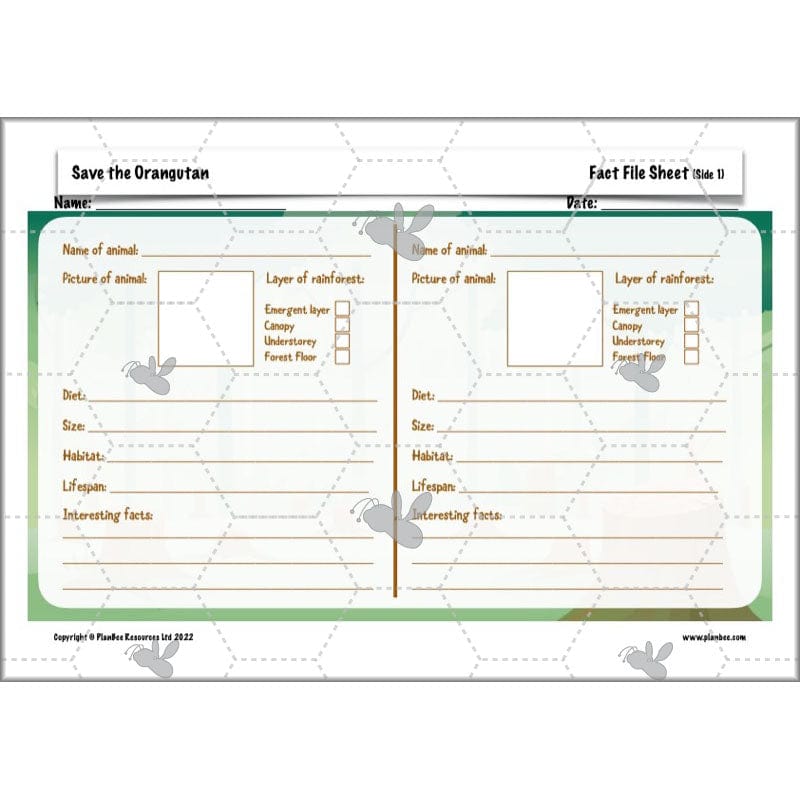 PlanBee Save the Orangutan KS2 Geography Planning Pack | PlanBee