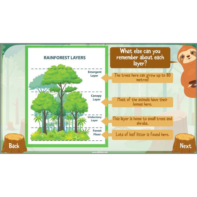 PlanBee Save the Orangutan KS2 Geography Planning Pack | PlanBee