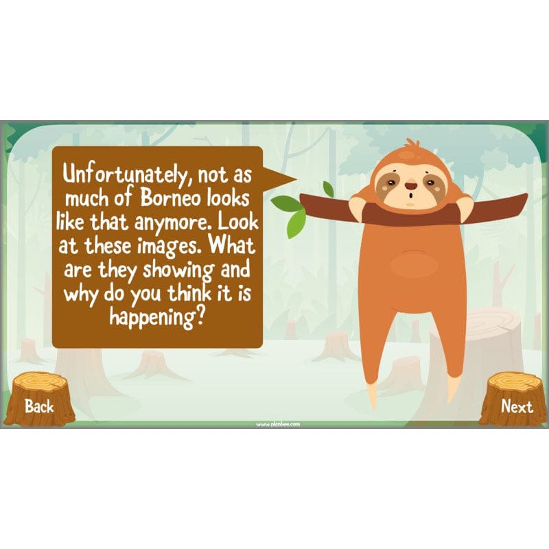 PlanBee Save the Orangutan KS2 Geography Planning Pack | PlanBee