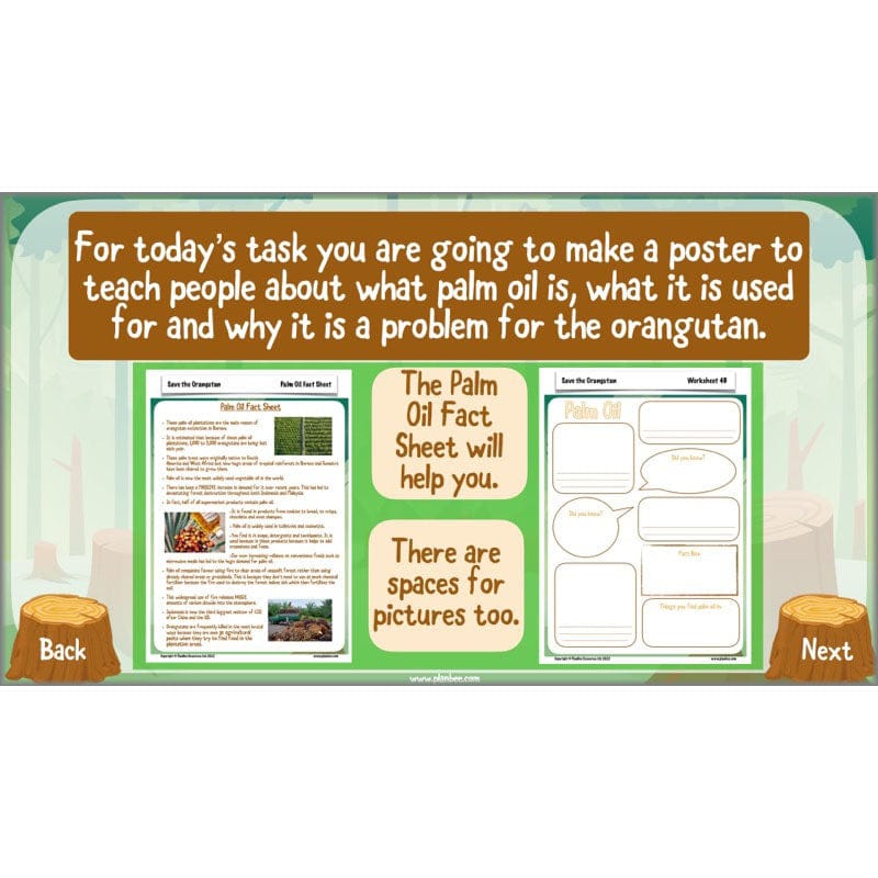 PlanBee Save the Orangutan KS2 Geography Planning Pack | PlanBee