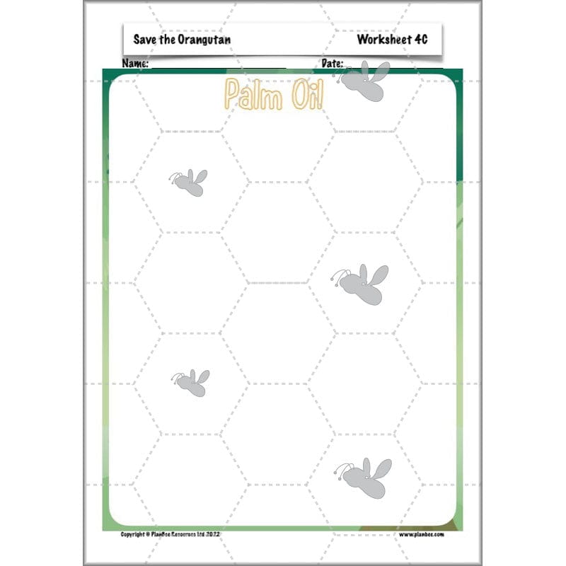 PlanBee Save the Orangutan KS2 Geography Planning Pack | PlanBee