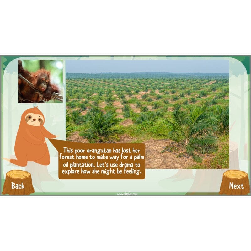 PlanBee Save the Orangutan KS2 Geography Planning Pack | PlanBee