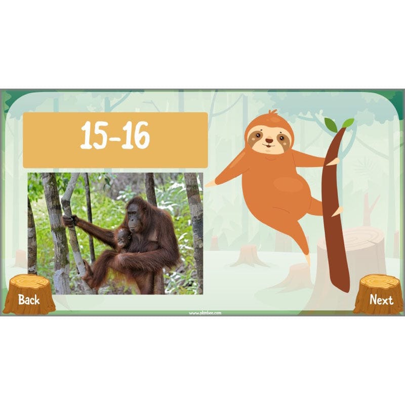 PlanBee Save the Orangutan KS2 Geography Planning Pack | PlanBee