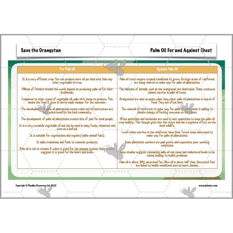 PlanBee Save the Orangutan KS2 Geography Planning Pack | PlanBee