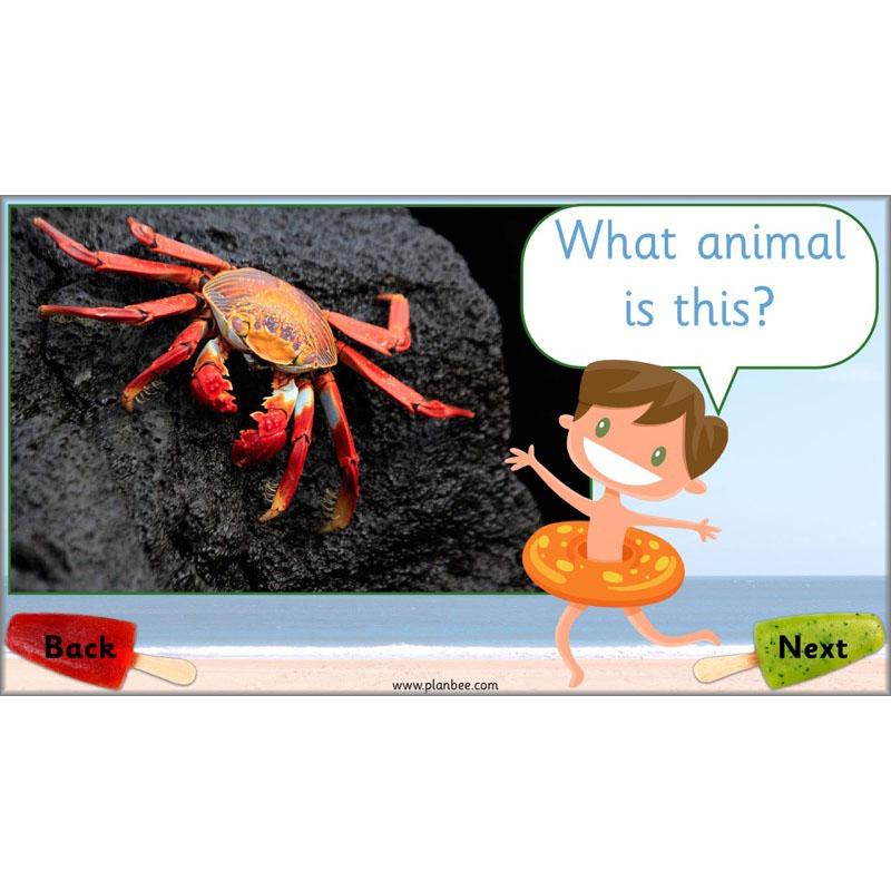 PlanBee Seaside Snacks: Primary DT Cookery Lessons for KS1 from PlanBee