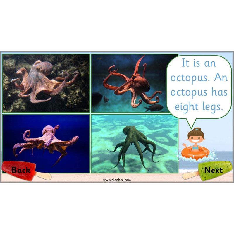 PlanBee Seaside Snacks: Primary DT Cookery Lessons for KS1 from PlanBee