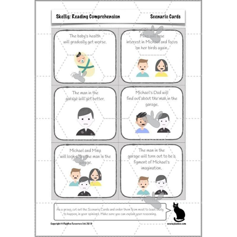 Skellig Year 6 English Planning Resource by PlanBee