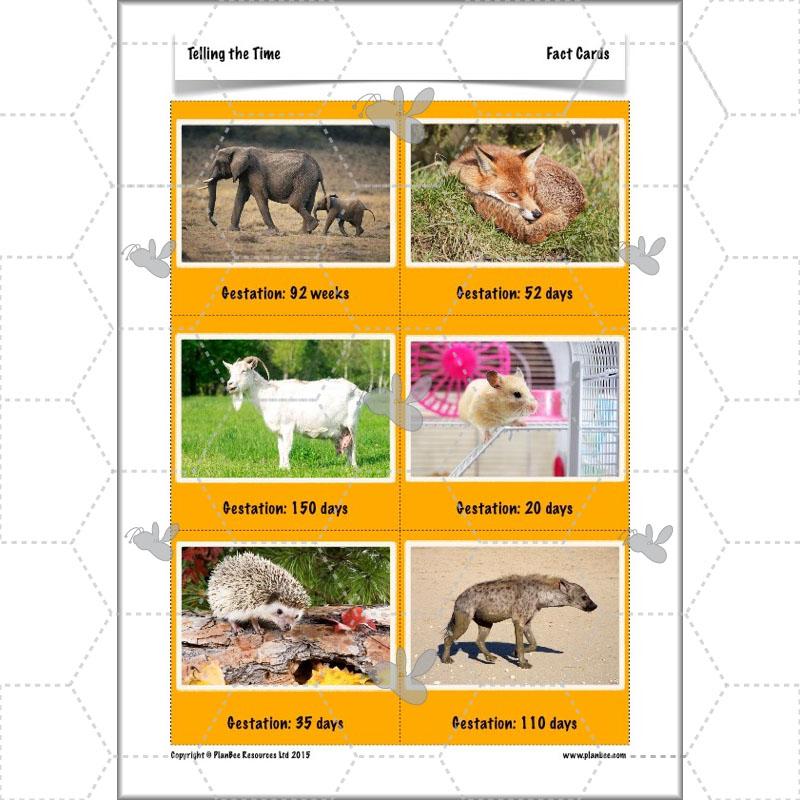 PlanBee Telling the Time KS2 | Year 4 Maths Lessons and Resources