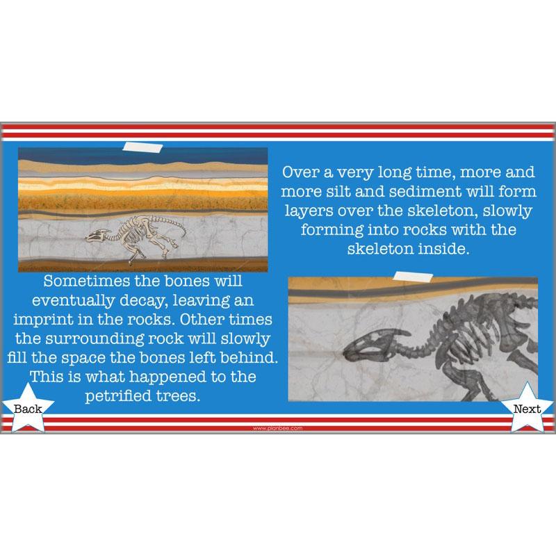 PlanBee The Unforgettable Science of America: KS2 Science Planning