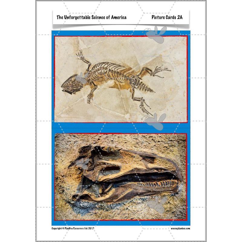 PlanBee The Unforgettable Science of America: KS2 Science Planning