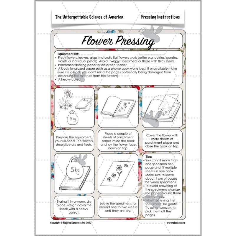 PlanBee The Unforgettable Science of America: KS2 Science Planning