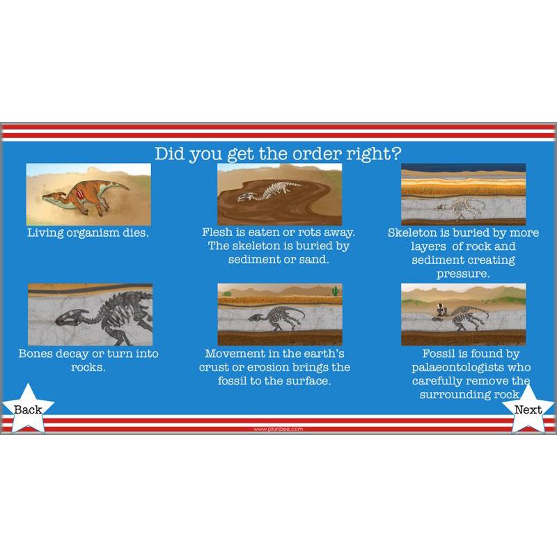 PlanBee The Unforgettable Science of America: KS2 Science Planning