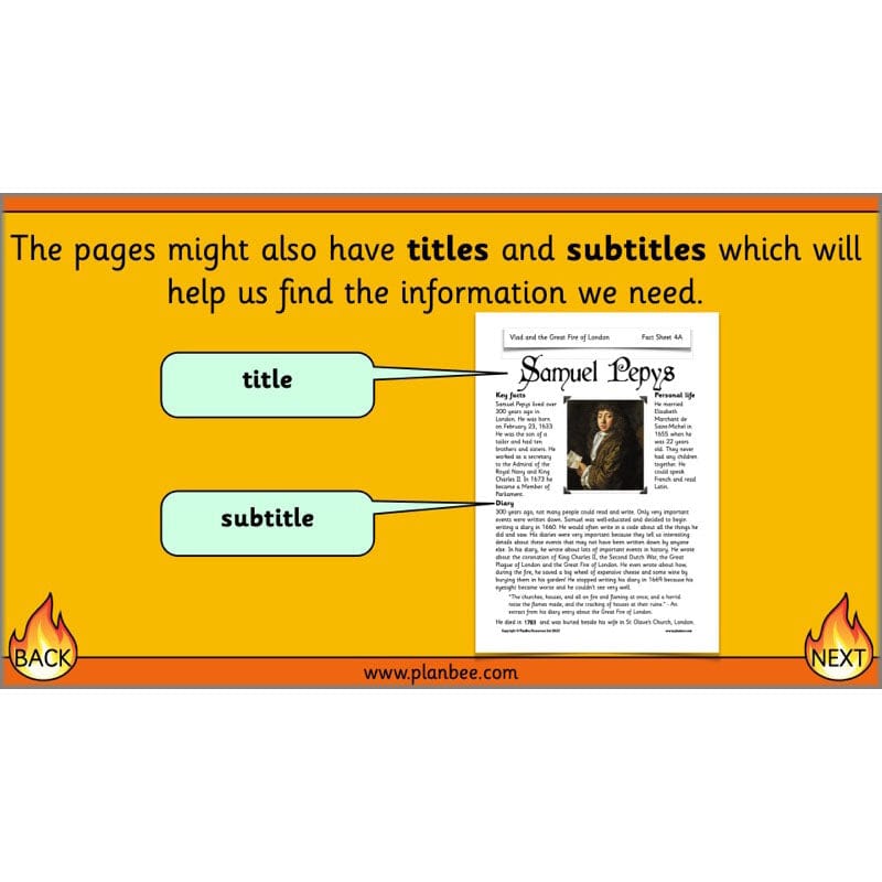 PlanBee Vlad and the Great Fire of London Planning - Year 2 