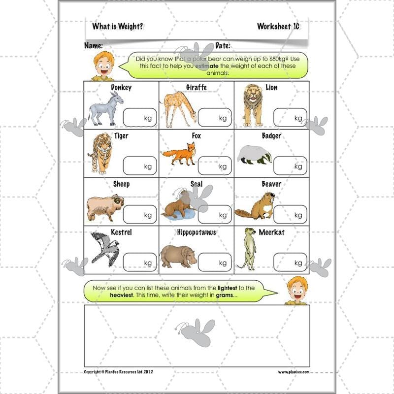 PlanBee What is Weight? Complete Primary Maths Lessons for Year 3