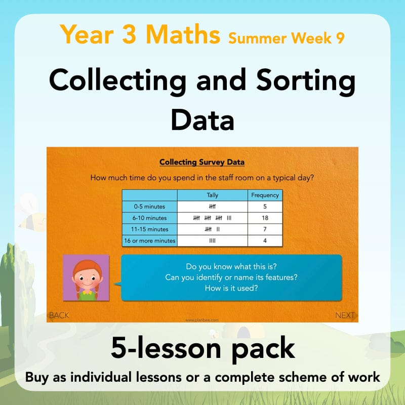 PlanBee Collecting and Sorting Data Year 3 Statistics by PlanBee