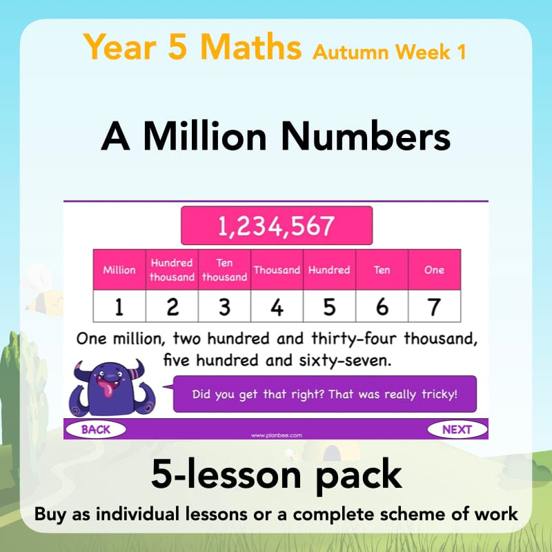 Year 5 Maths Curriculum: A Million Numbers