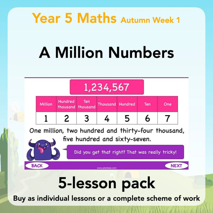 Year 5 Maths Curriculum: A Million Numbers