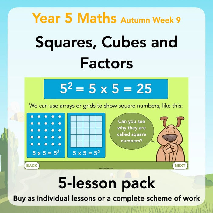 Year 5 Maths Curriculum: Square Numbers, Cube Numbers and Factor Pairs 