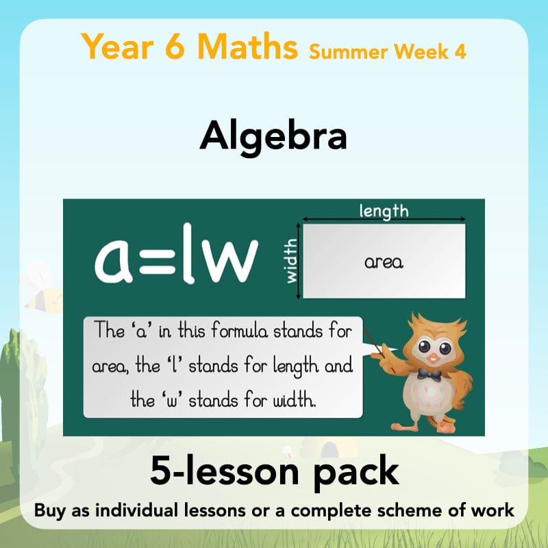 PlanBee Algebra: simple algebra lesson planning for Year 6