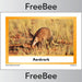 PlanBee African Animals KS1 Display Posters