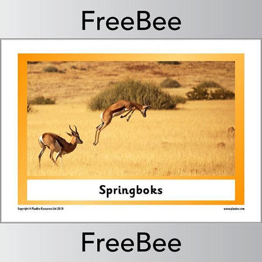 PlanBee African Animals KS1 Display Posters