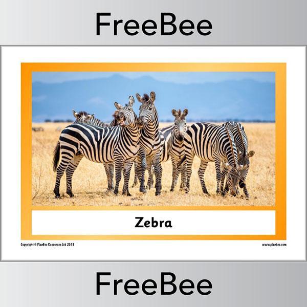 PlanBee African Animals KS1 Display Posters