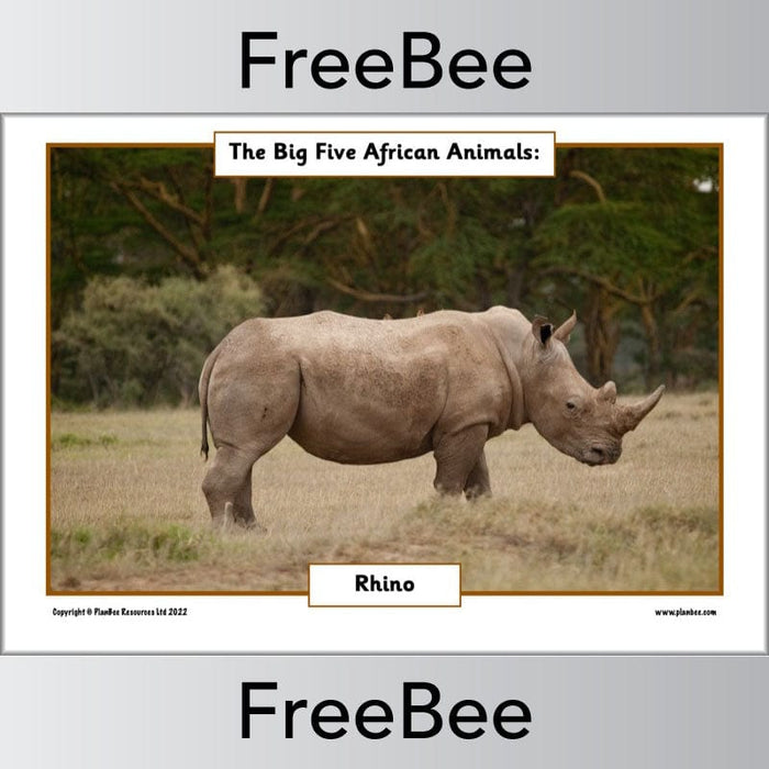 FREE African Big 5 Animals Posters | PlanBee