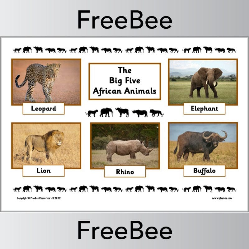 FREE African Big 5 Animals Posters | PlanBee