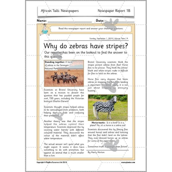 PlanBee African animals themed Year 2 English Lesson Plan by PlanBee
