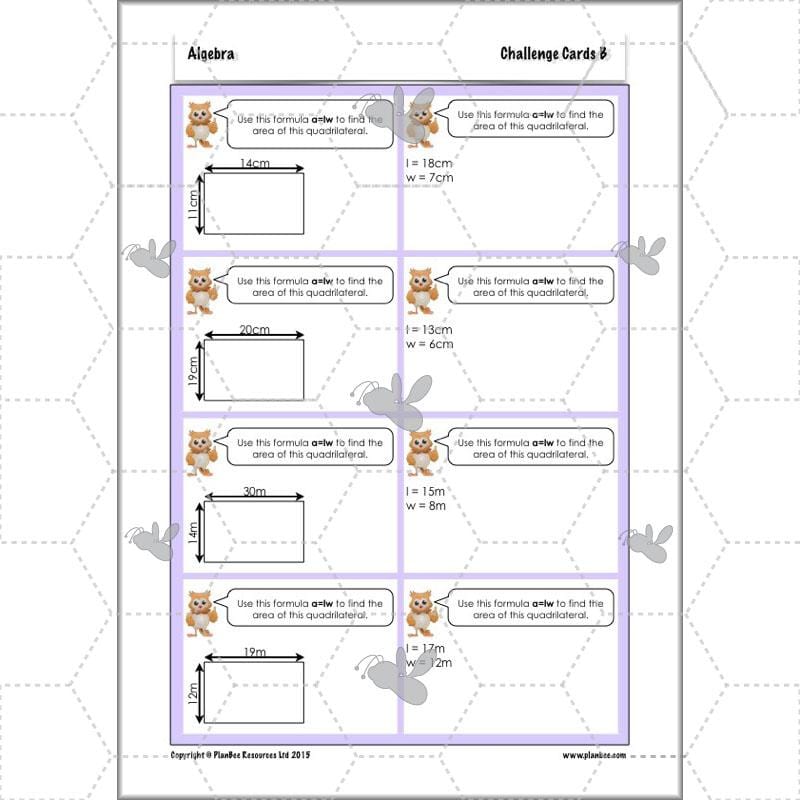 PlanBee Algebra: simple algebra lesson planning for Year 6