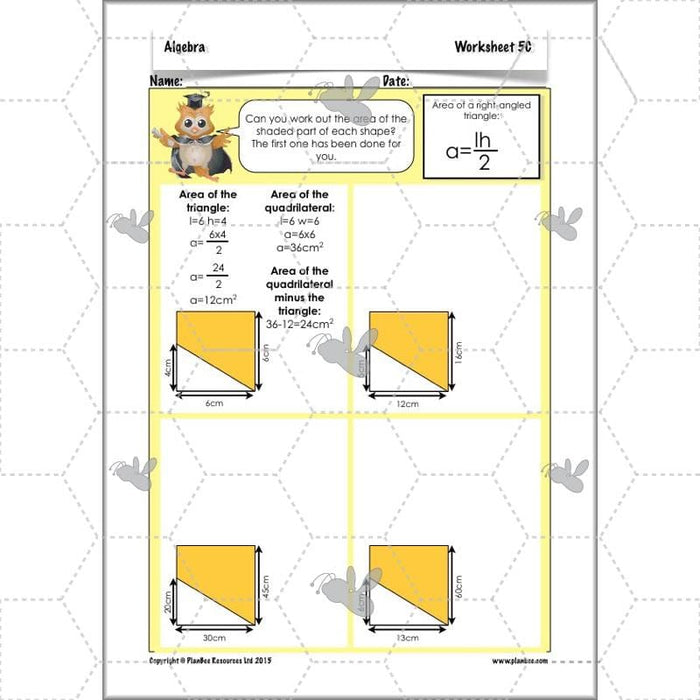 PlanBee Algebra: simple algebra lesson planning for Year 6