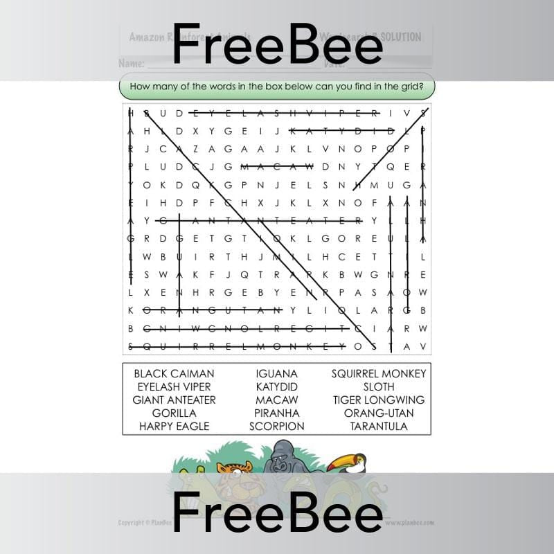 Free Amazon Rainforest Animals Word Search Answers by PlanBee
