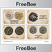 PlanBee FREE Anglo Saxon Coins Picture Cards by PlanBee
