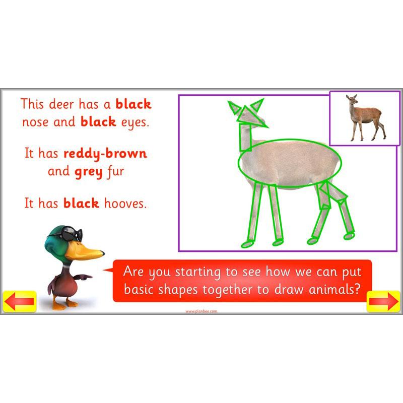 PlanBee Animal Art lessons and planning for KS1 created by PlanBee