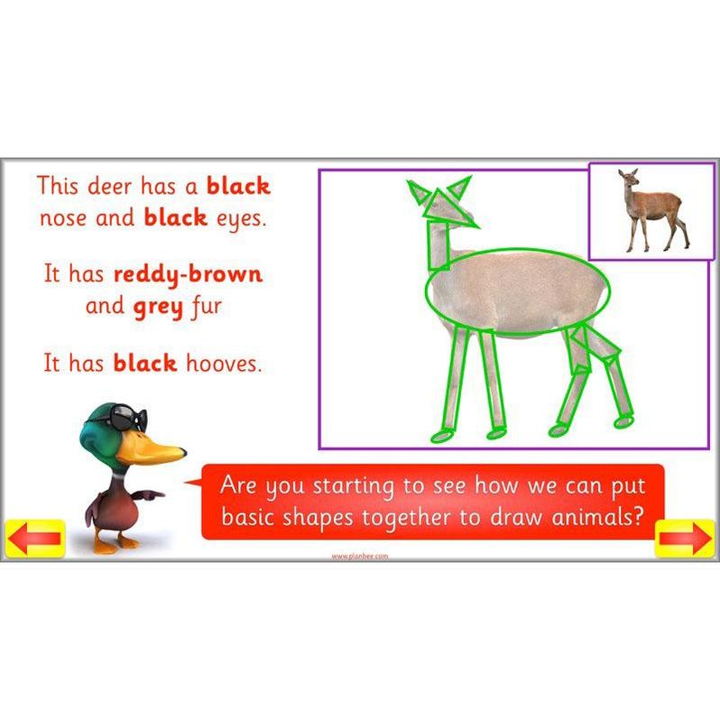 Animal Art lessons and planning for KS1 created by PlanBee