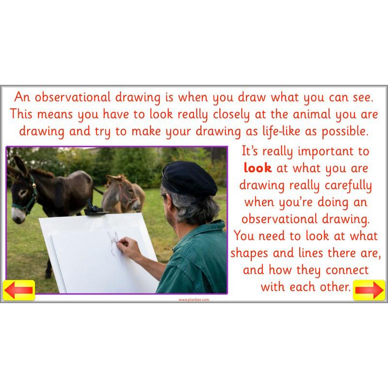 PlanBee Animal Art lessons and planning for KS1 created by PlanBee