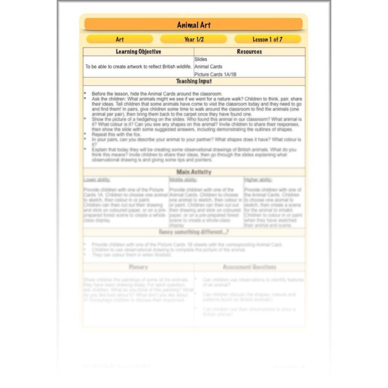 PlanBee Animal Art lessons and planning for KS1 created by PlanBee