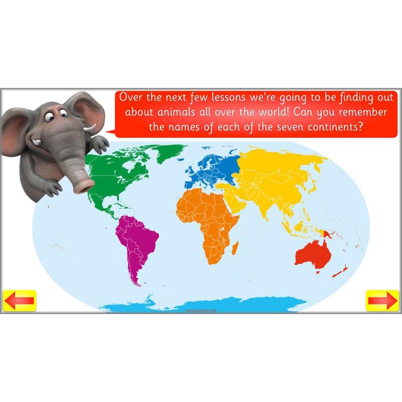 PlanBee Animal Art lessons and planning for KS1 created by PlanBee