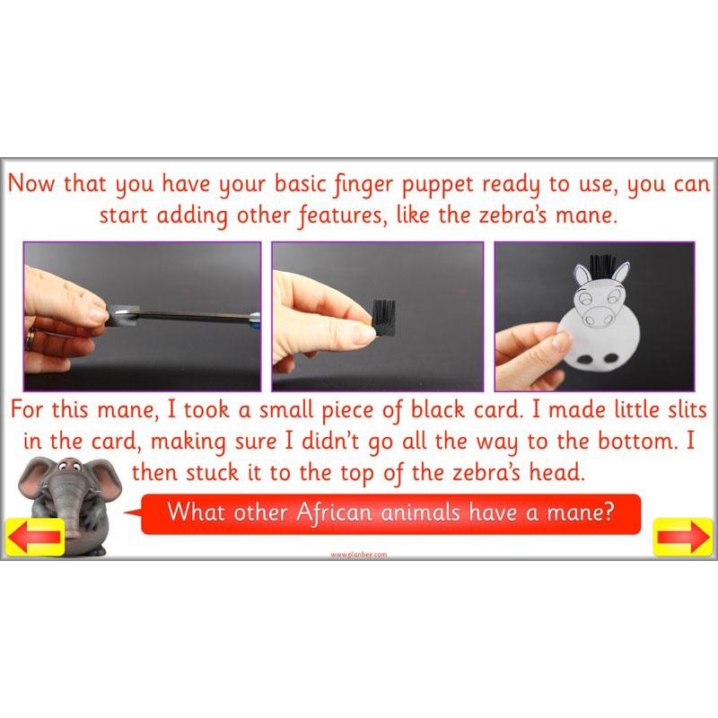 PlanBee Animal Art lessons and planning for KS1 created by PlanBee