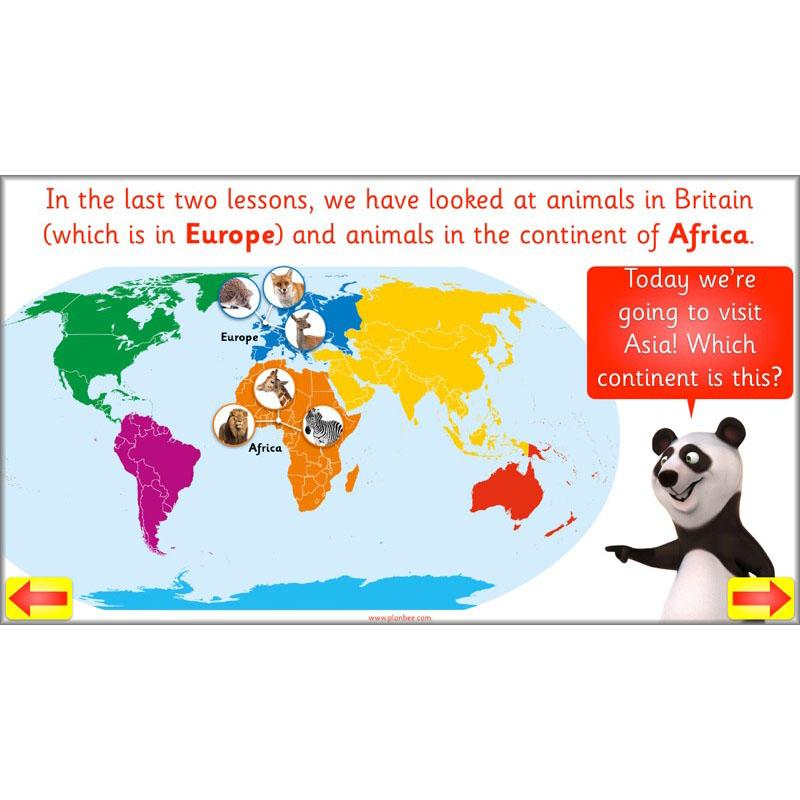 PlanBee Animal Art lessons and planning for KS1 created by PlanBee