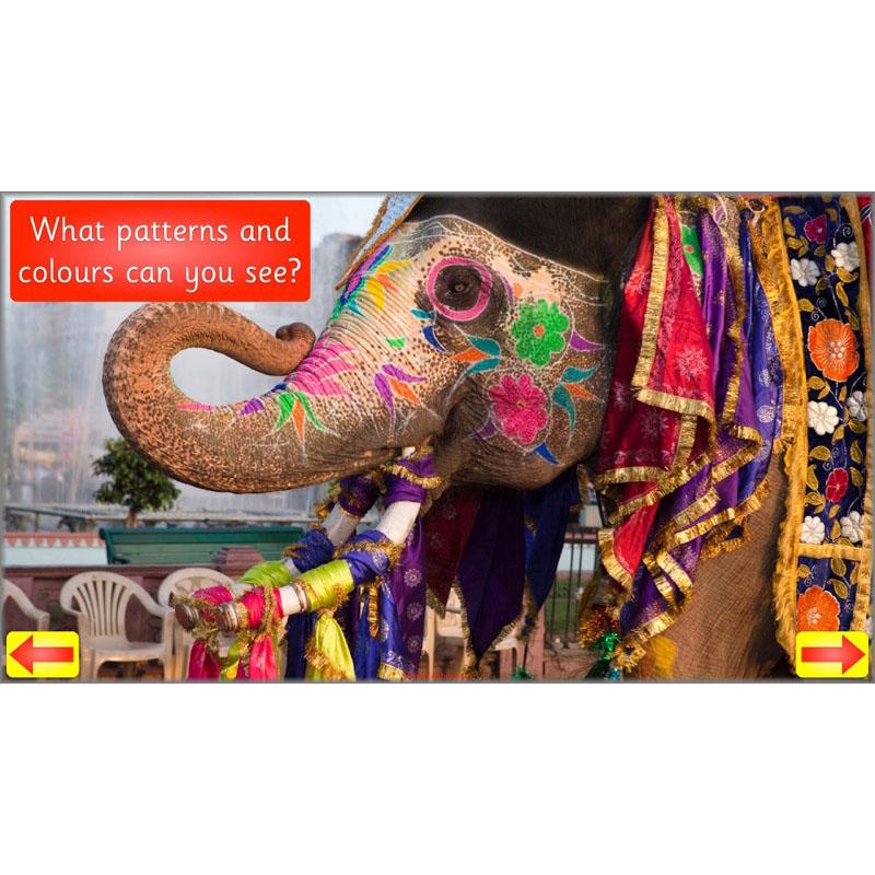 PlanBee Animal Art lessons and planning for KS1 created by PlanBee